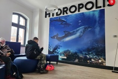 Hydropolis13