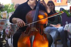 IMG_0739