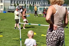 BARDOPL_39