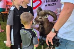 BARDOPL_52