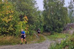 XIbardzkapiateczka030