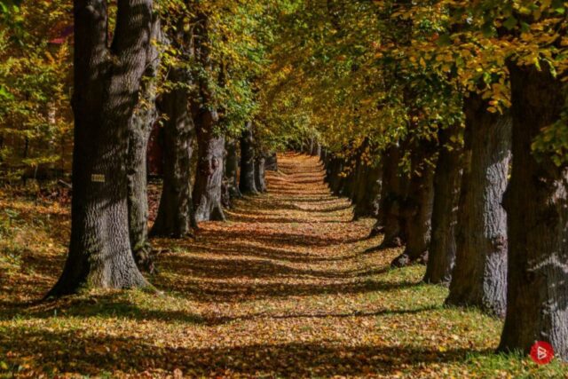 WZGÓRZE RÓŻAŃCOWE